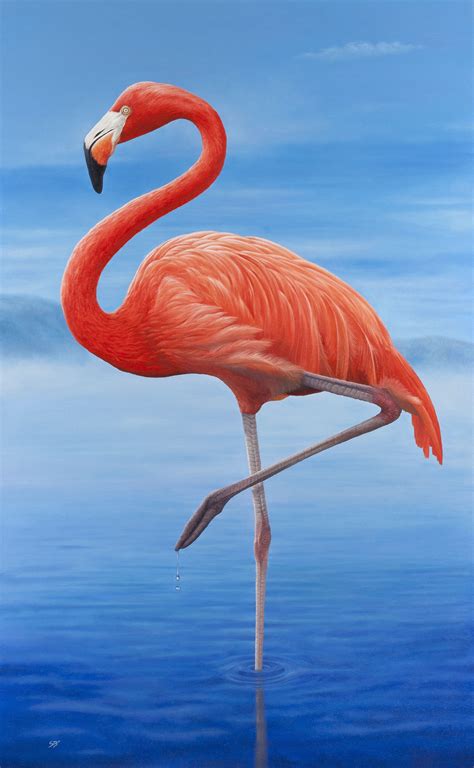 Printable Flamingo Pictures